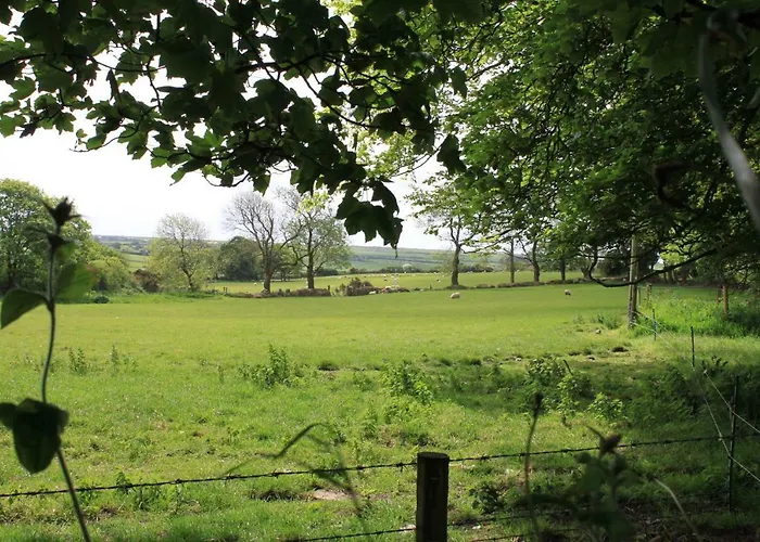 Ty Llwyd