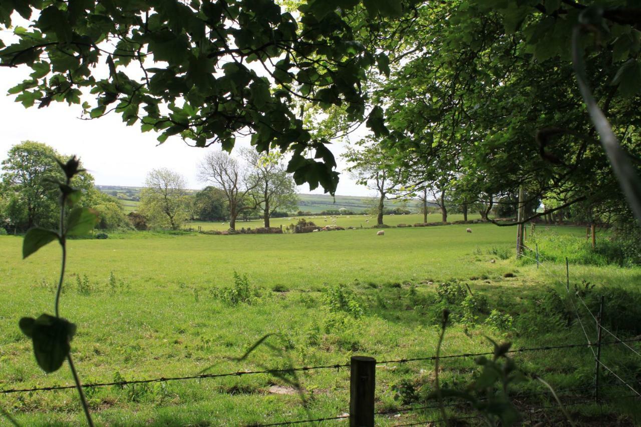 Ty Llwyd Bed & Breakfast 4*